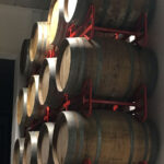 galerie-event-veranstaltung-mitgliederabend-2018-1