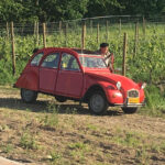 galerie-event-veranstaltung-mitgliederabend-2018-30