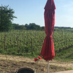 galerie-event-veranstaltung-mitgliederabend-2018-31