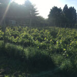 galerie-event-veranstaltung-mitgliederabend-2018-32