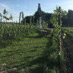 galerie-event-veranstaltung-mitgliederabend-2018-34