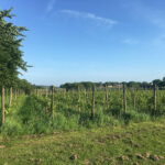 galerie-event-veranstaltung-mitgliederabend-2018-35