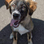 galerie-event-veranstaltungen-wifo-familientag-2018-3